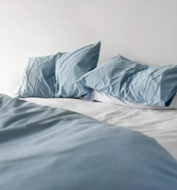 Ugodne nocitve ribnica