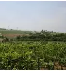 Ugodne nočitve na turistični kmetiji Obala