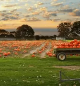 Nočitve na turistični kmetiji