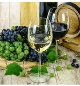 Ugodne prese za vino slovenija