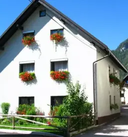 Ugodni druzinski apartma kranjska gora