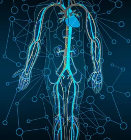 Ugodno bioresonancno svetovanje savinjska