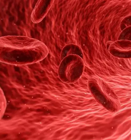 Ugodno bioresonancno svetovanje savinjska