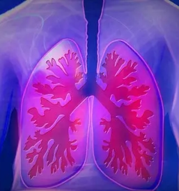 Ugodno bioresonancno svetovanje savinjska