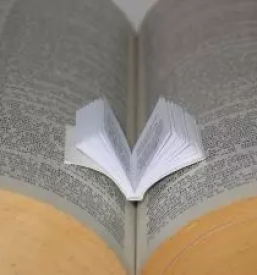 Ugodno lektoriranje v slovenscino v sloveniji