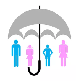 Ugodna zavarovanja celje