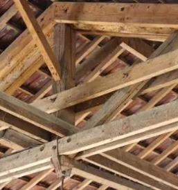 Ugodno skodlarstvo ljubljana okolica