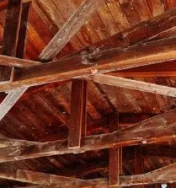 Ugodno skodlarstvo v sloveniji