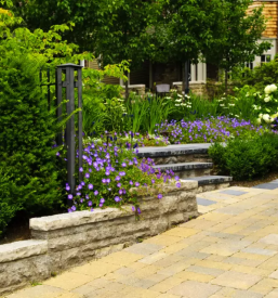 Vzdrževanje dvorišča Ptuj