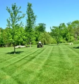 Ugodno urejanje okolice gorenjska