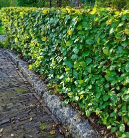 Ugodno urejanje okolice gorenjska