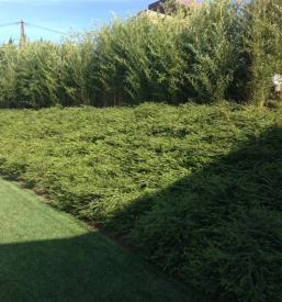 Urejanje okolice Obala