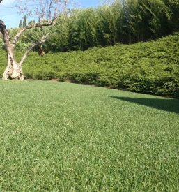 Ugodno urejanje okolice in vrtov Obala