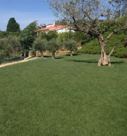 Ureditev okolice Obala