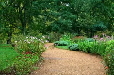 Urejanje okolice Posavje