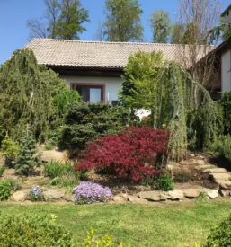 Ugodno urejanje okolice savinjska