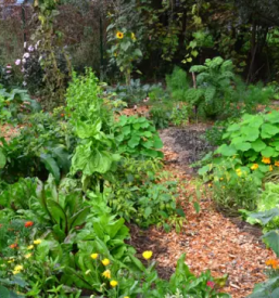 Ugodno urejanje okolja stajerska