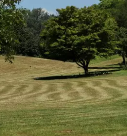 Ugodno urejanje okolja stajerska