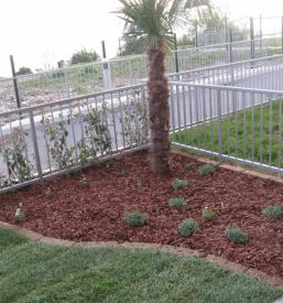 Urejanje vrtov Obala