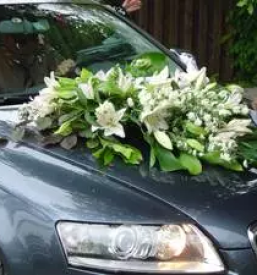 Ugodno vrtnarstvo ljubljana