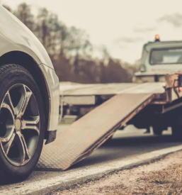 Ugodno zivljenjsko zavarovanje goriska