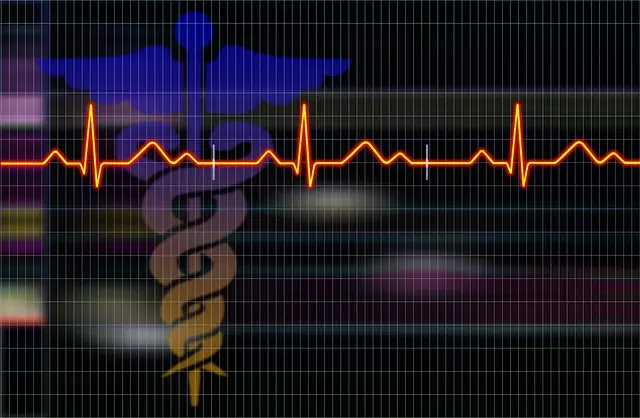 Ultrazvok srca Ljubljana 