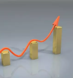 Unternehmensberatung und business consulting slowenien