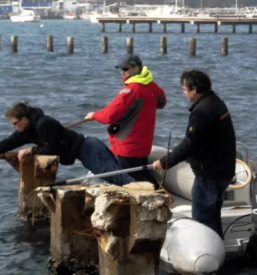 Ureditev meje parcele Obala