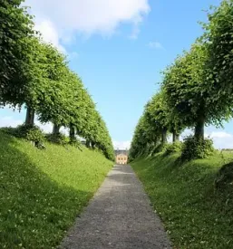 Urejanje dvorisc in okolice koroska