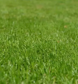 Urejanje dvorisc in okolice koroska