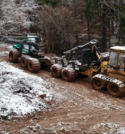 Urejanje kmetijskih povrsin gorenjska