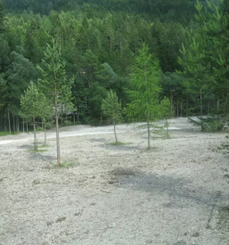 kmetijske povrsine gorenjska