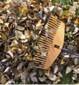 Urejanje okolice Celje