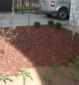 Urejanje okolice Ljubljana