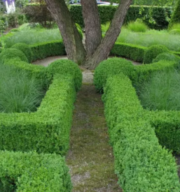 Hitro urejanje okolice Ljubljana, okolica