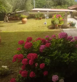 Ugodno urejanje vrtov Ljubljana, Osrednja Slovenija