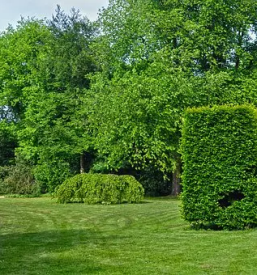 Urejanje zelenih povrsin murska sobota okolica