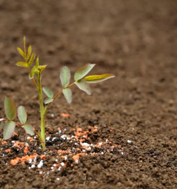 Veleprodaja ekoloskih gnojil slovenija