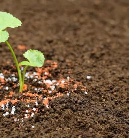 Veleprodaja ekoloskih gnojil slovenija