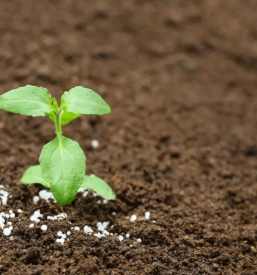 Veleprodaja ekoloskih gnojil slovenija