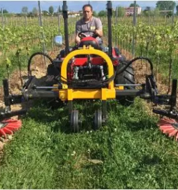 Vendita di macchine agricole e botti in legno goriziano
