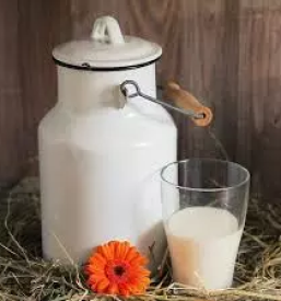 Vendite di latte fresco slovenia