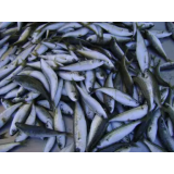 HAPY DAY, IVANJI GRAD, D.O.O.