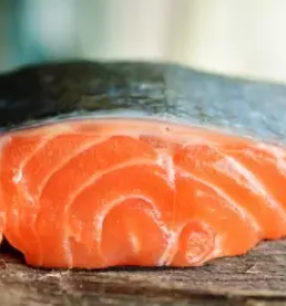 Verkauf und lieferung von frischem fisch in slowenien