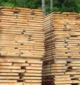 Verkauf von eichenschnittholz in slowenien