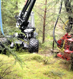 Verkauf von holz slowenien