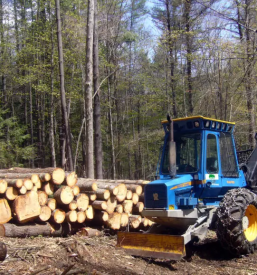 Holz Preis Slowenien