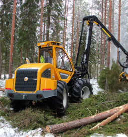 Preis von Holz Slowenien 