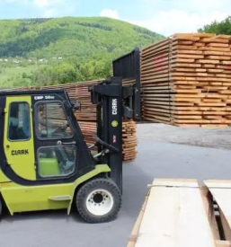 Verkauf von geschnittener eiche slowenien