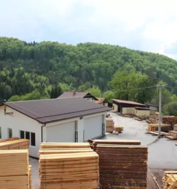 Verkauf von geschnittener eiche slowenien